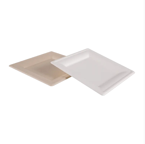 ¿Por qué elegir el plato de almuerzo cuadrado ecológico en lugar de las placas de plástico tradicionales?