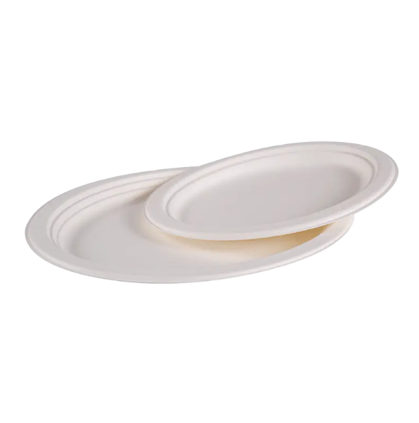 ¿Qué ventajas pueden usar el plato de almuerzo redondo desechable de bagazo a su evento?